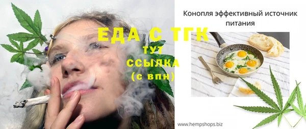 индика Алексин