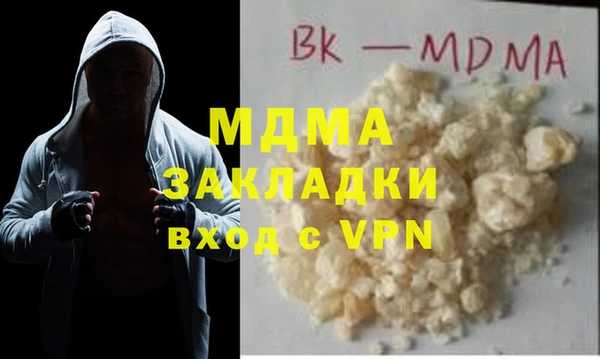 индика Алексин