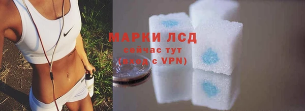 индика Алексин