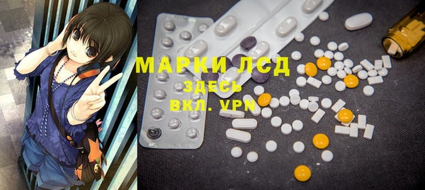индика Алексин