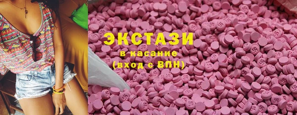 индика Алексин