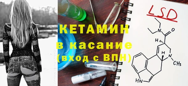 индика Алексин