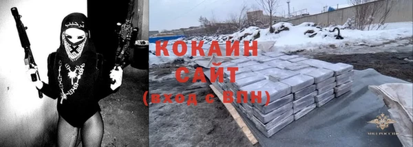 индика Алексин