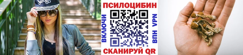 Галлюциногенные грибы GOLDEN TEACHER  где найти наркотики  Апшеронск 
